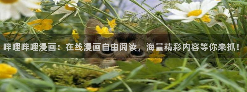 樱花漫画下拉式免费阅读在线观看